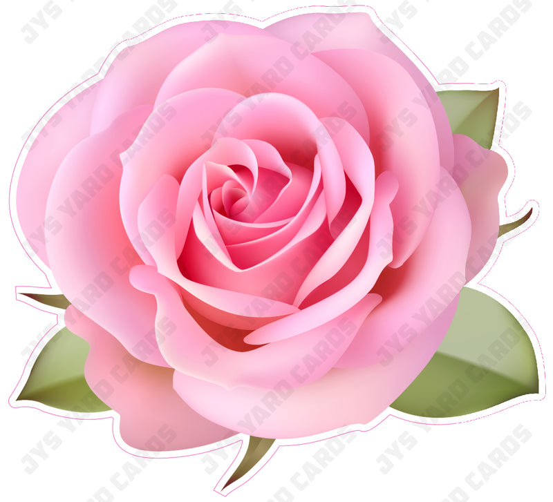 FLOWER: ROSE PINK 2