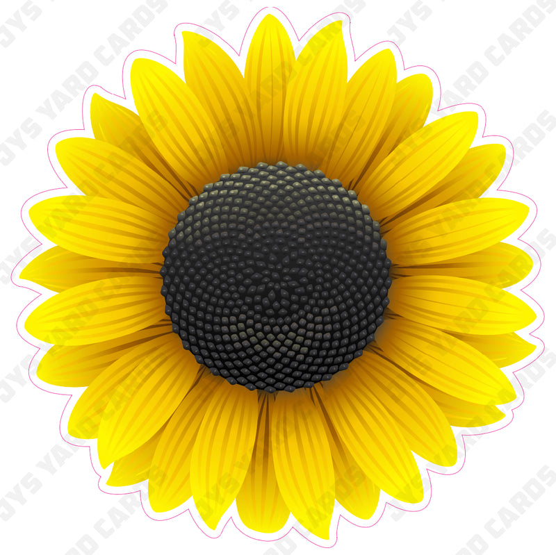 FLOWER: SUNFLOWER