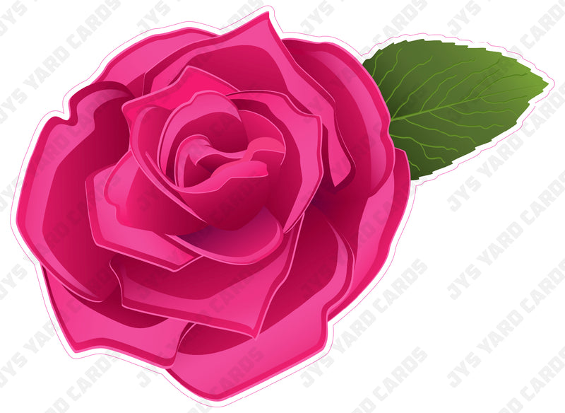FLOWER: ROSE HOT PINK