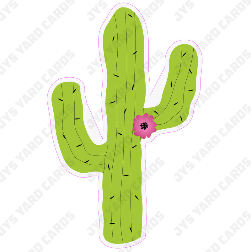 CACTUS