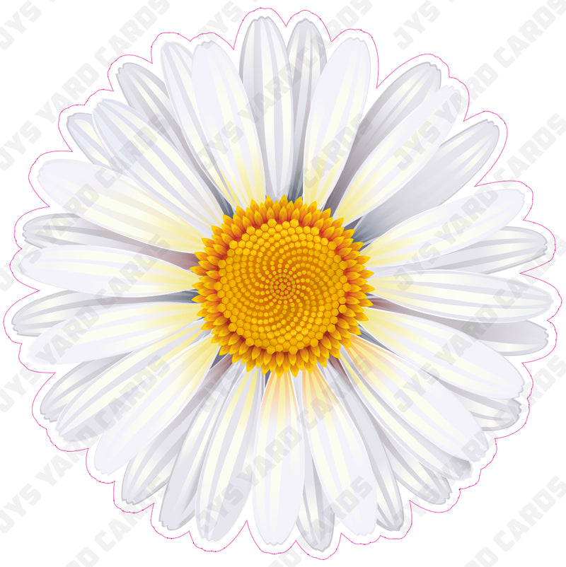 FLOWER: WHITE