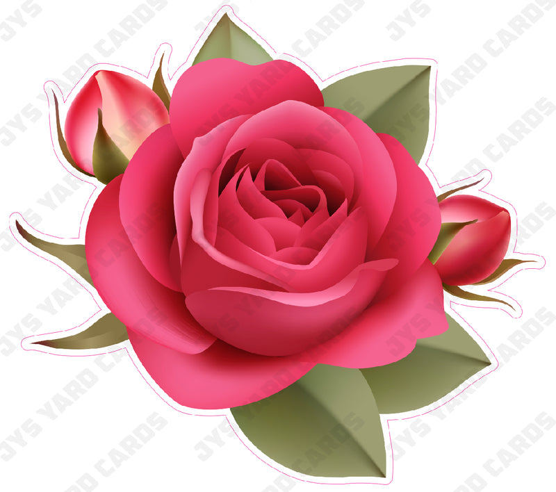 FLOWER: ROSE RED 2