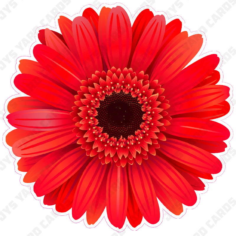 FLOWER: RED