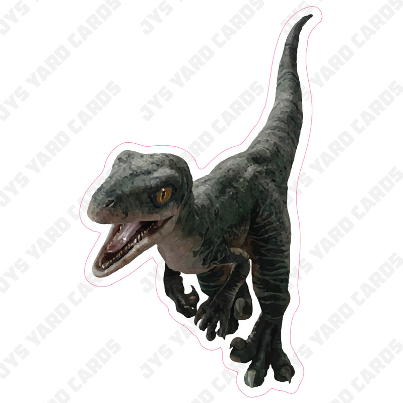 DINOSAURS: VELOCIRAPTOR