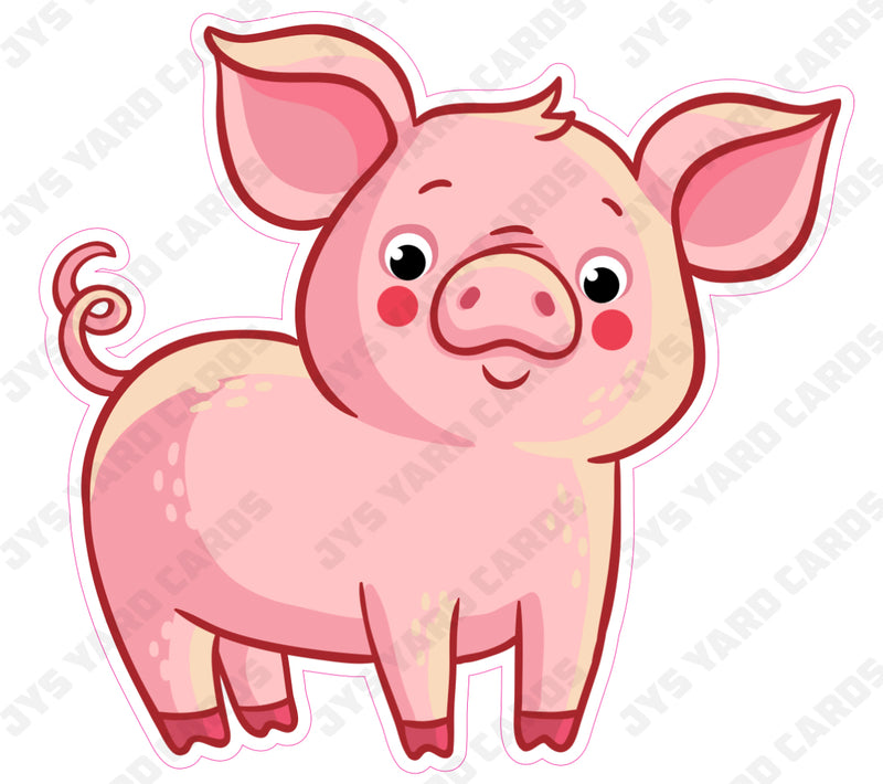 PIG