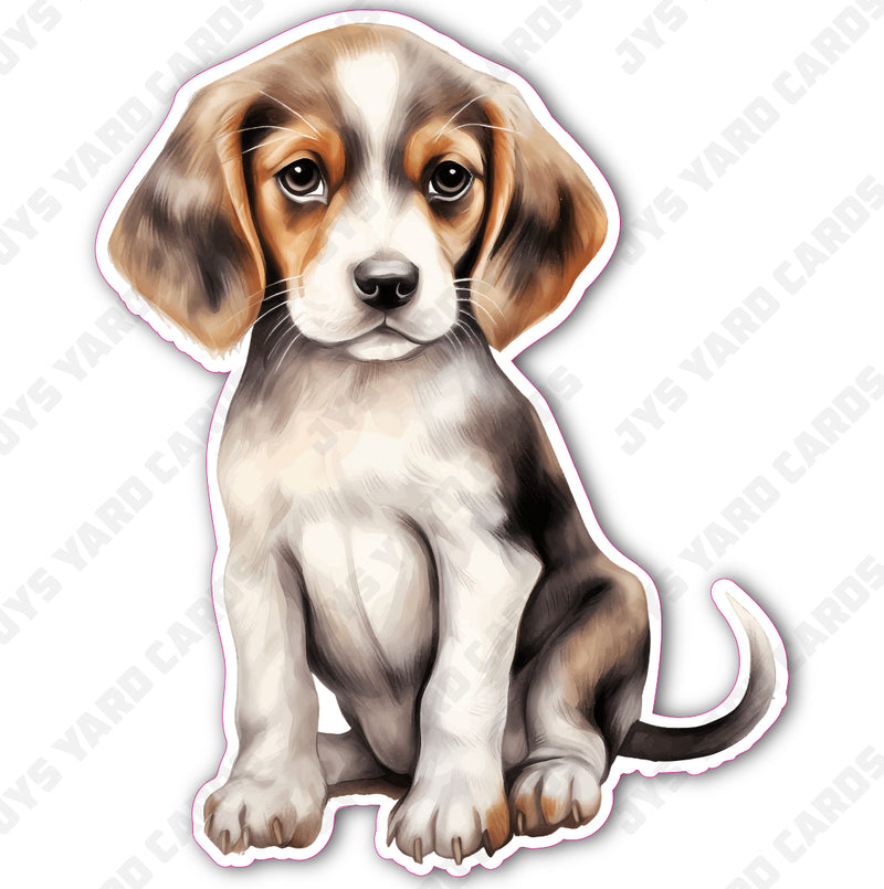 CUTE PUPPY: BEAGLE 1