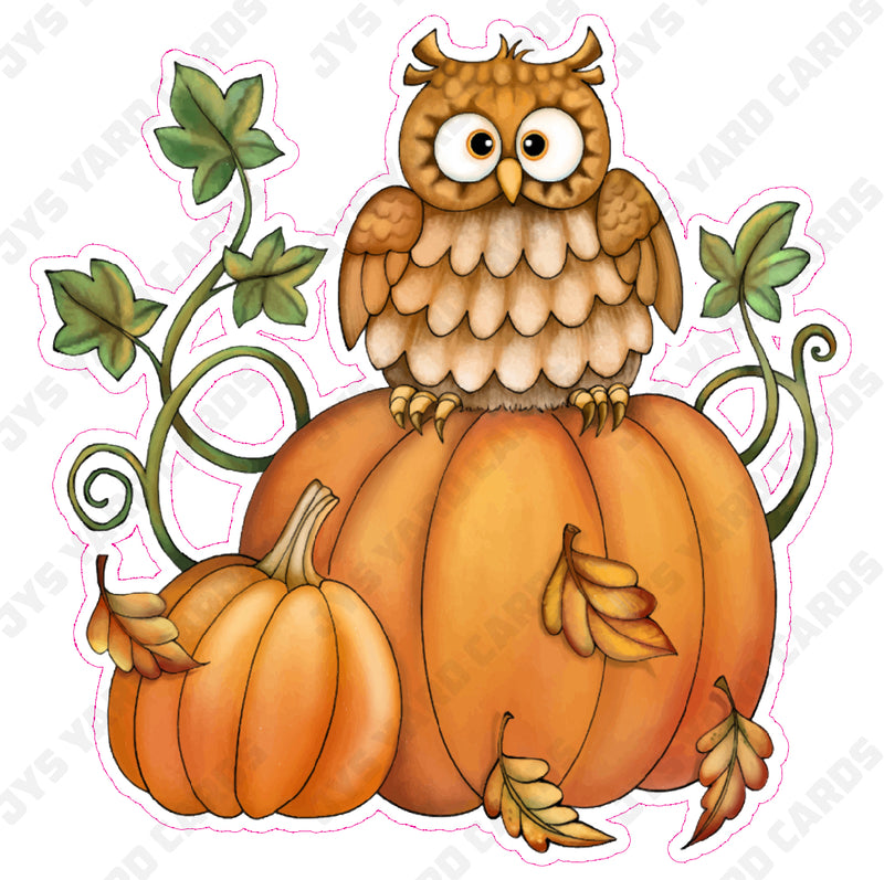 OWL ON PUMPKIN