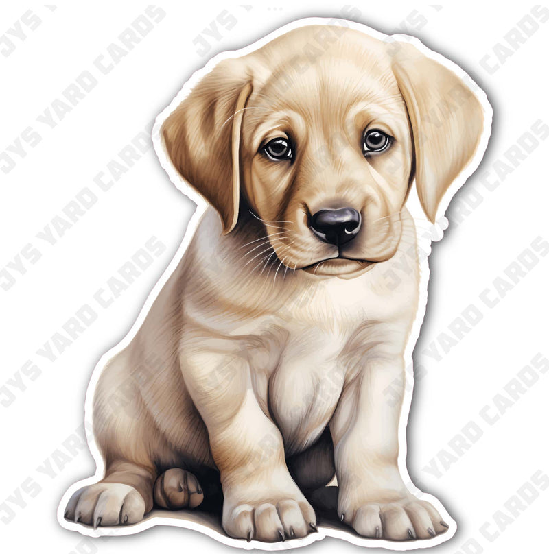 CUTE PUPPY: GOLDEN LAB