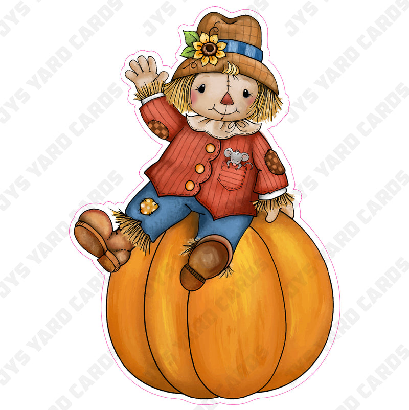 SCARECROW ON PUMPKIN