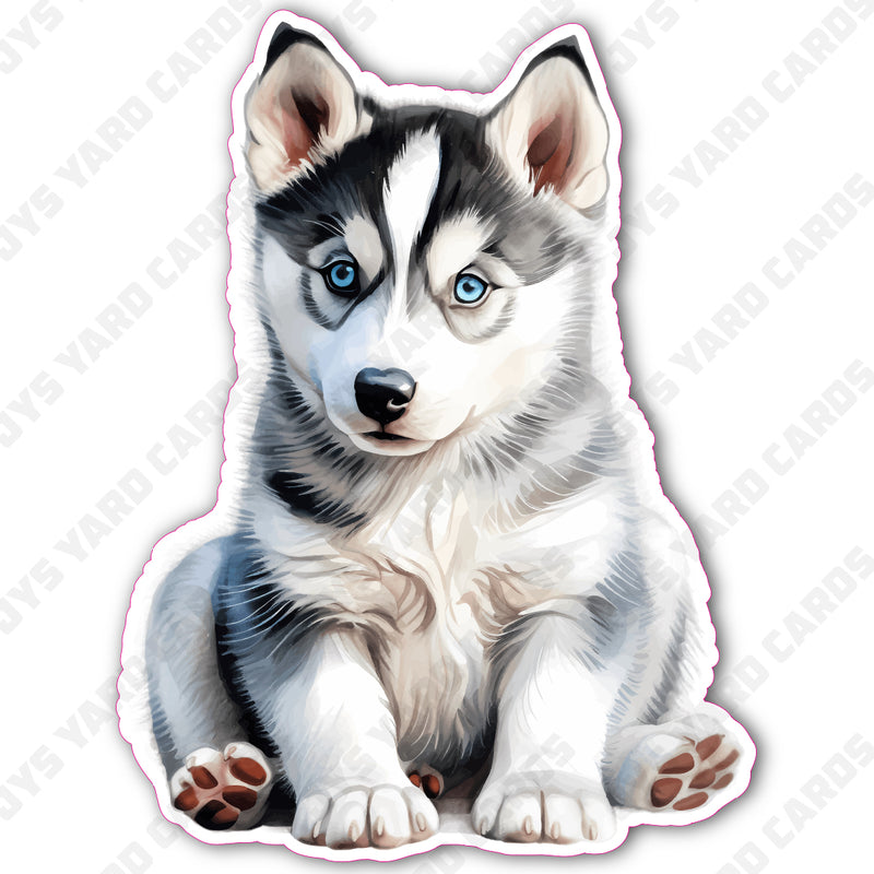 CUTE PUPPY: HUSKY 1