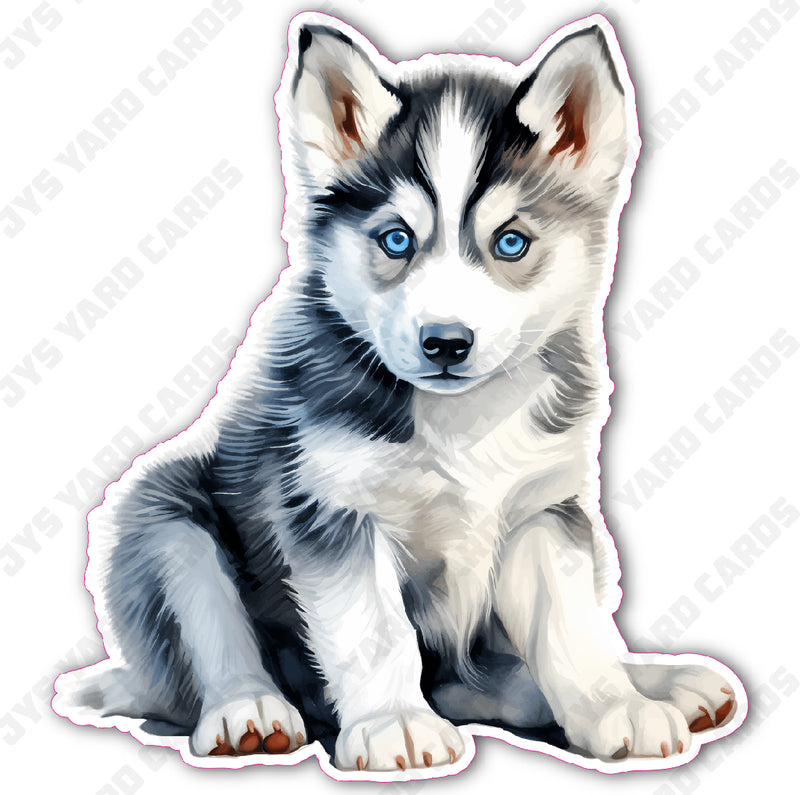 CUTE PUPPY: HUSKY 2