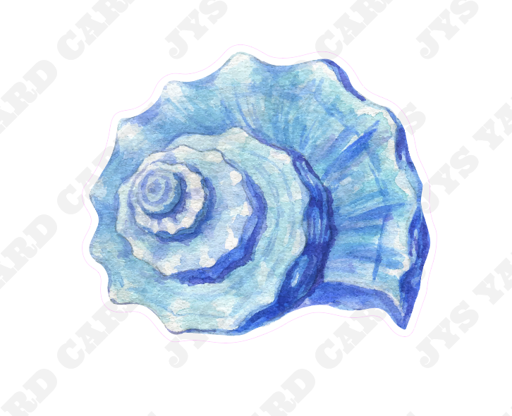 SEA SHELL 2