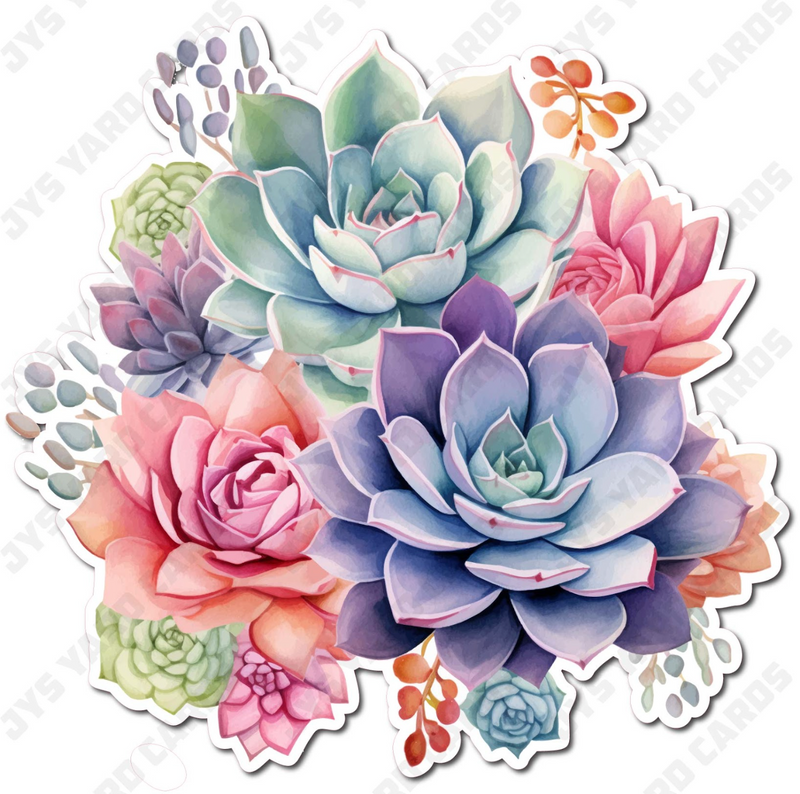 SUCCULENT 5