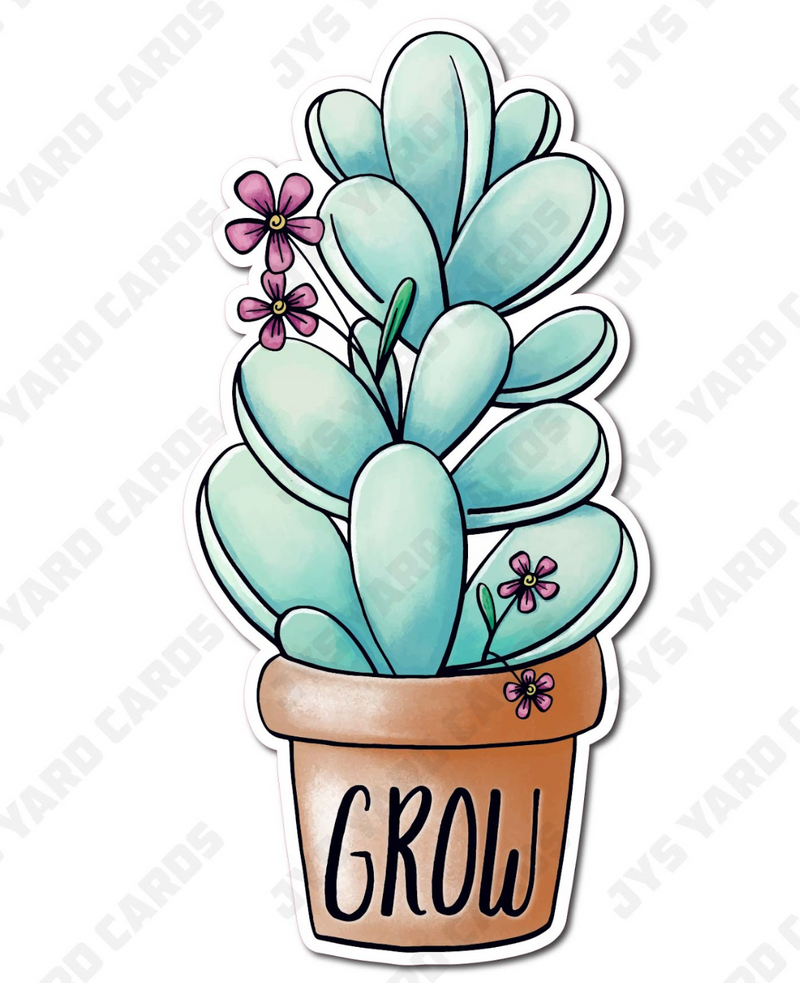 GROW SUCCULENT