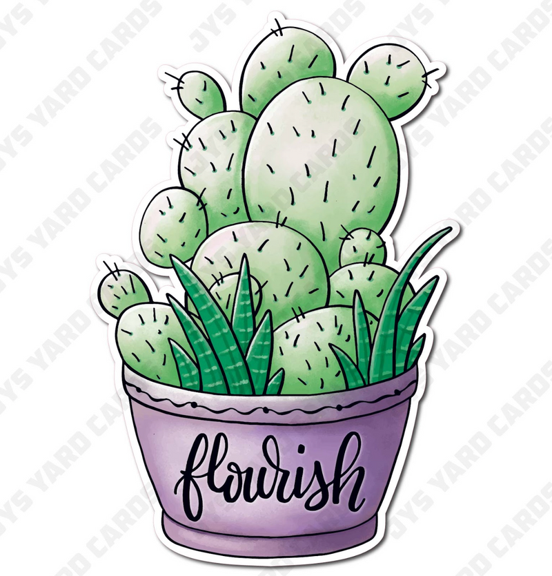 FLOURISH SUCCULENT