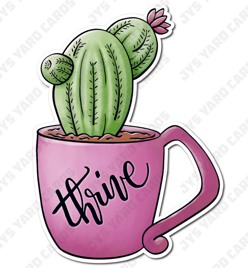 THRIVE SUCCULENT