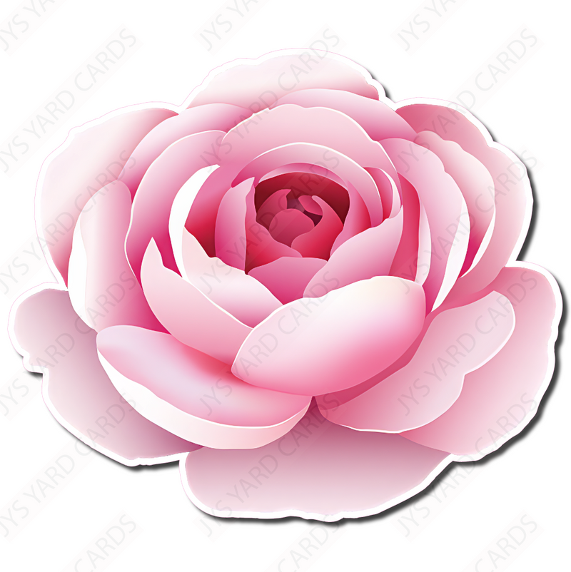 FLOWER: SOFT PINK ROSE PETAL