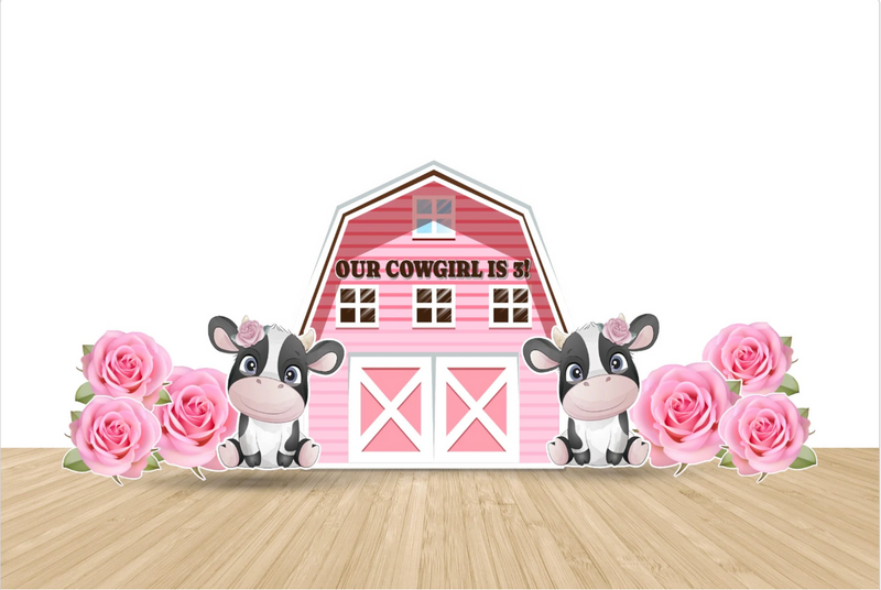 Pink Barn Party Backdrop