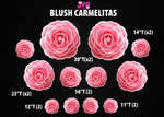 BLUSH CARMELITAS